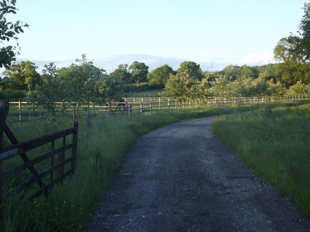 Pleck Barn B&B Ansty  Luaran gambar